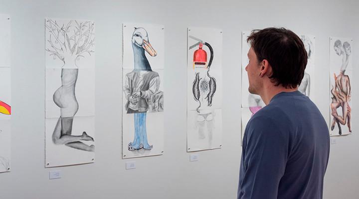 person looking at drawings on the wall